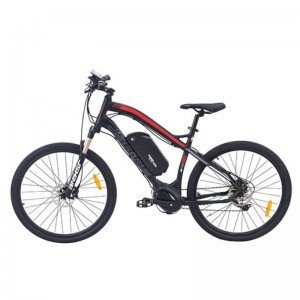 EBIKE S6-Z2