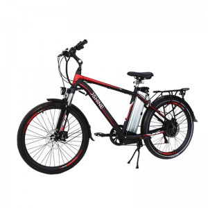 XS EBIKE